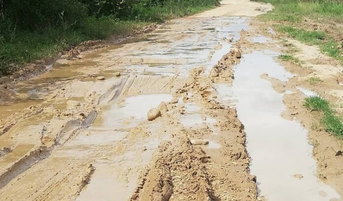 Palmarito - carreteras - rehabilitación vial