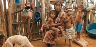 Pueblos indígenas - wayúu y añú