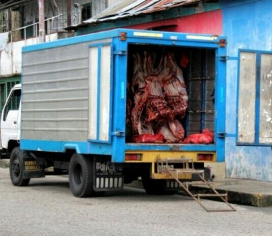 camion carne tucupita - delta amacuro
