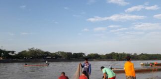 Ribazón trae alegría a los pesqueros del río Arauca