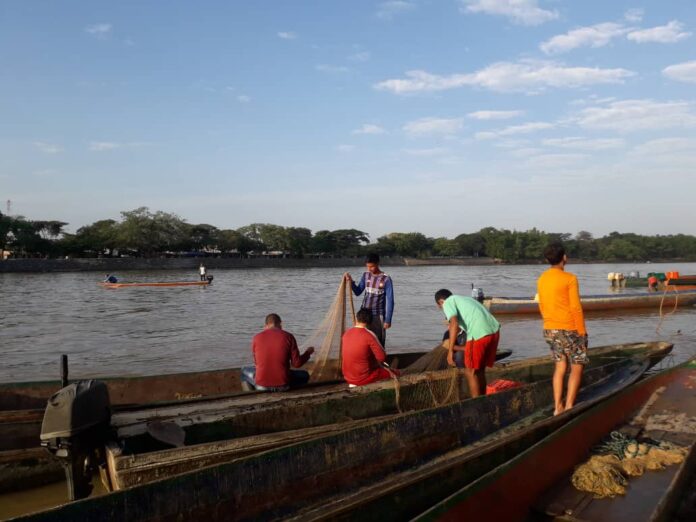 Ribazón trae alegría a los pesqueros del río Arauca