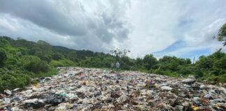 situación basura vertedero de Mazpa