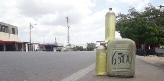 Pimpinas de gasolina en la calle - combustible