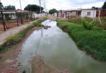 aguas servidas