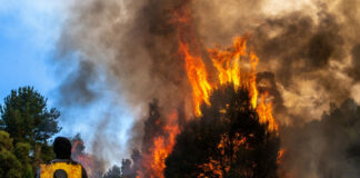 Más de 200 damnificados por incendios en Chile