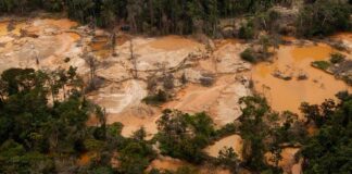 Arco Minero del Orinoco - crisis ambiental