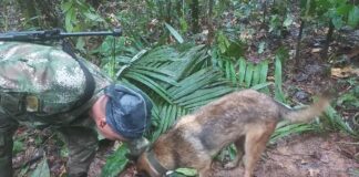 Encuentra vivos a los niños desaparecidos en la Amazonía