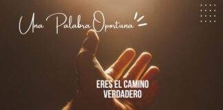 Una Palabra Oportuna No.2491