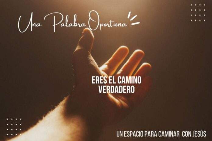 IMAGEN WEB (720 × 480 px) (11)