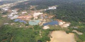 Cerro Yapacana Amazonas