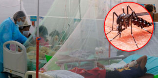 casos de dengue - emergencia en los hospitales del norte de Perú