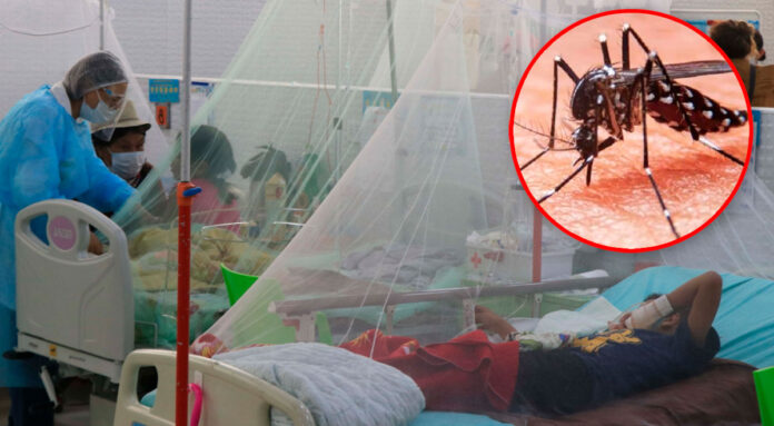 casos de dengue - emergencia en los hospitales del norte de Perú