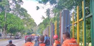 PC Táchira tala 33 árboles por representar un riesgo para vehículos