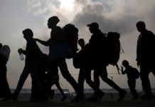 Migrantes