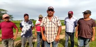 Productores de Cunaviche, Apure