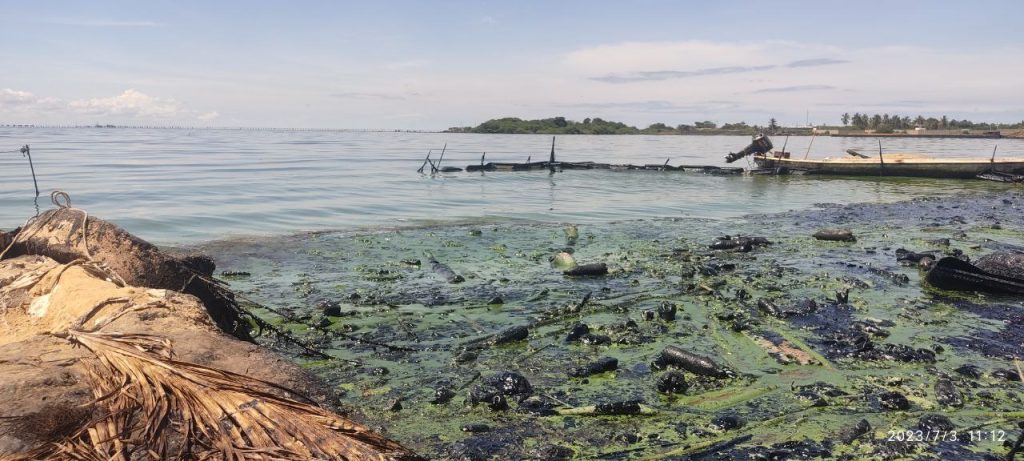 Lago de Maracaibo contaminado