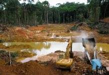 Activista pemón pide ir “de lo más alto a lo más bajo” para desmontar la minería ilegal
