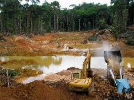 Activista pemón pide ir “de lo más alto a lo más bajo” para desmontar la minería ilegal