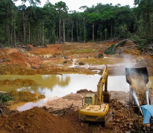 Activista pemón pide ir “de lo más alto a lo más bajo” para desmontar la minería ilegal