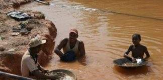 La minería ilegal fue el principal problema ambiental de Venezuela en 2024, según Vitalis