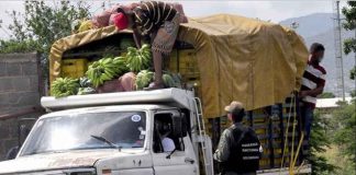 permiso para transportar productos vegetales