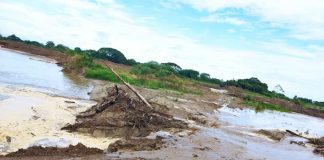 río Zulia