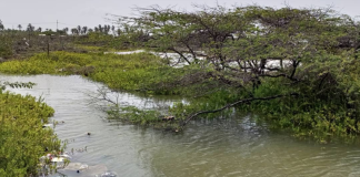 Guajira - Comunidad Bella Vista