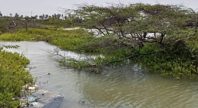 Guajira - Comunidad Bella Vista