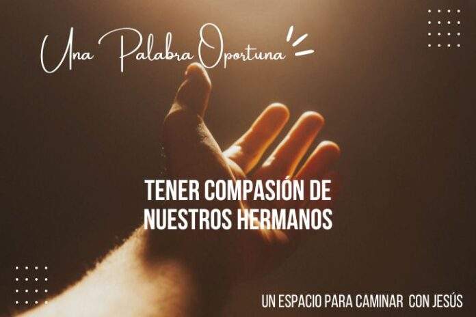 IMAGEN WEB (720 × 480 px) (66)
