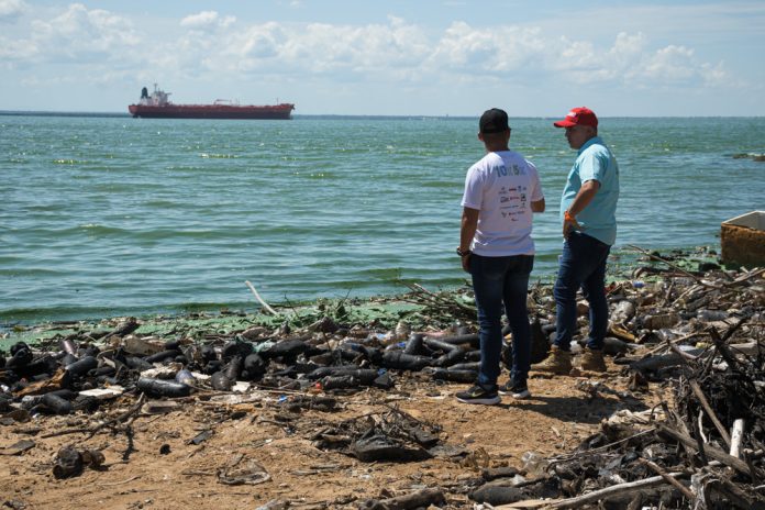 Verdín en el Lago de Maracaibo Lago de Maracaibo