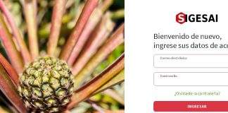 Fallas de conectividad limita registro de productores agrícolas
