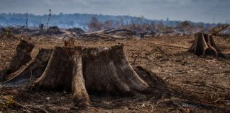 Cambio Climático