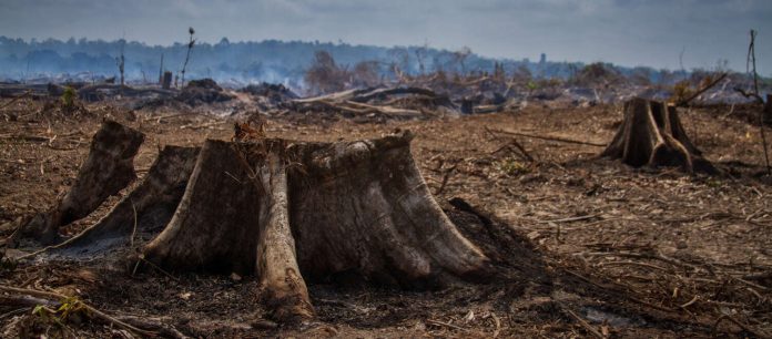 Cambio Climático