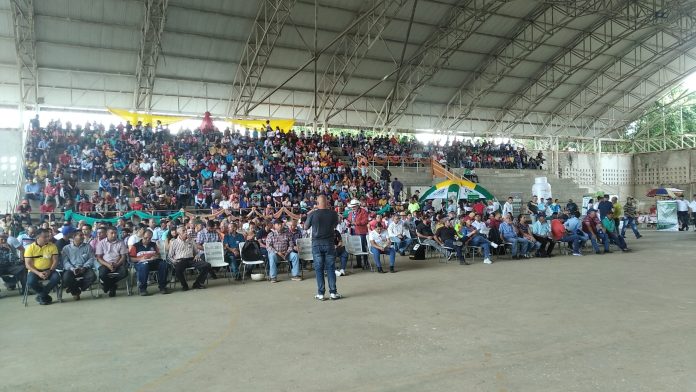 caficultures venezolanos