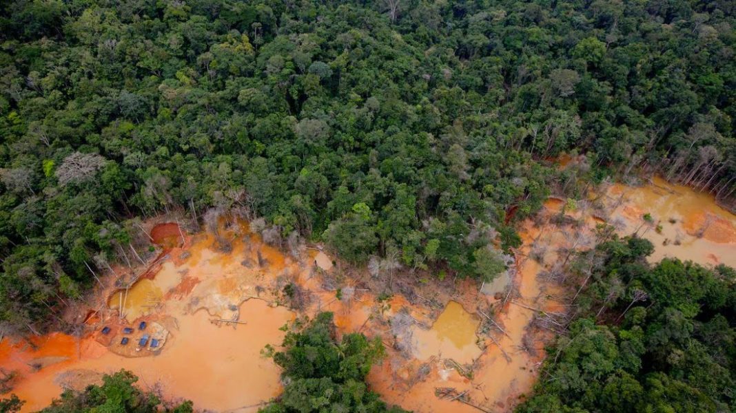 Amazonía Venezolana