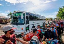 Día internacional del Migrante y Refugiado