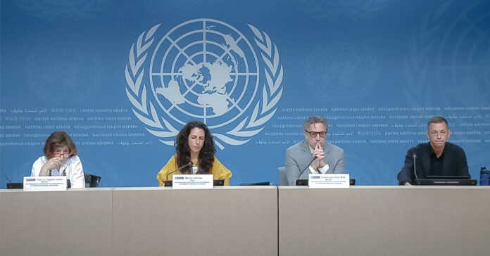 informe onu