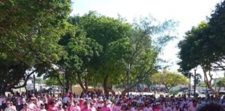 Caminata rosa en Guajira
