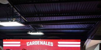 Cardenales de Lara en la LVBP.