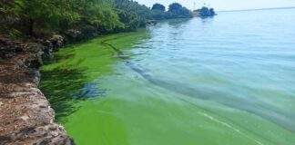 ¿De qué trata el documental ‘Viernes negro: una emergencia climática’?