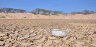 Migraciones Climáticas