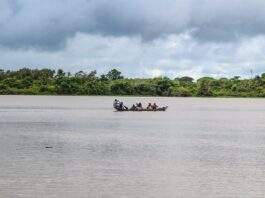 Reportan la muerte de nueve menores en Sakoinoko y Yorinanoko por extraña enfermedad Waraos vulnerables idioma
