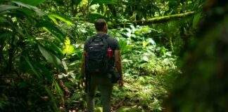 El ecoturismo en Venezuela, ¿“el petróleo verde” que vale la pena? Ecoturismo en Venezuela