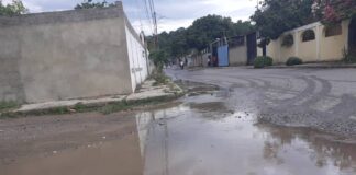 Foto: Cortesía