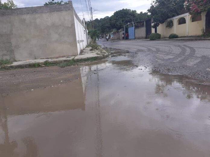 Foto: Cortesía