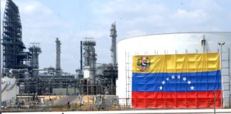 industria química y petroquímica venezolana