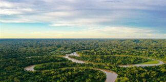 Cartas por nuestra Amazonía