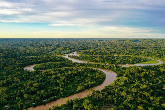 Cartas por nuestra Amazonía