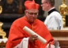 Cardenal de Guatemala