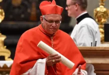Cardenal de Guatemala